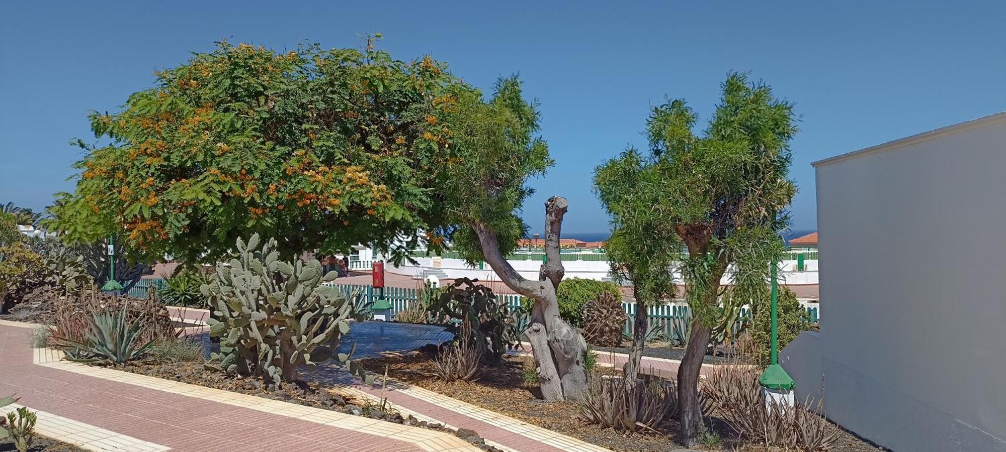Villa Casa Gioeli Cocosol Costa De Antigua Exterior foto